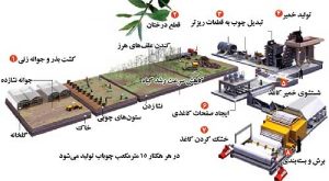 مراحل تبدیل چوب به کاغذ 